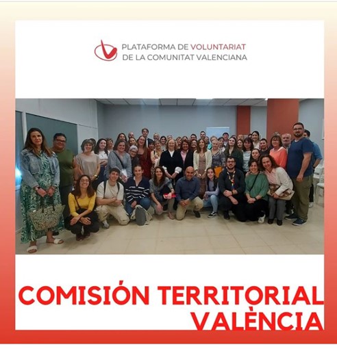  Fundación AFIM participa en la reunión de la Plataforma Valenciana del Voluntariado